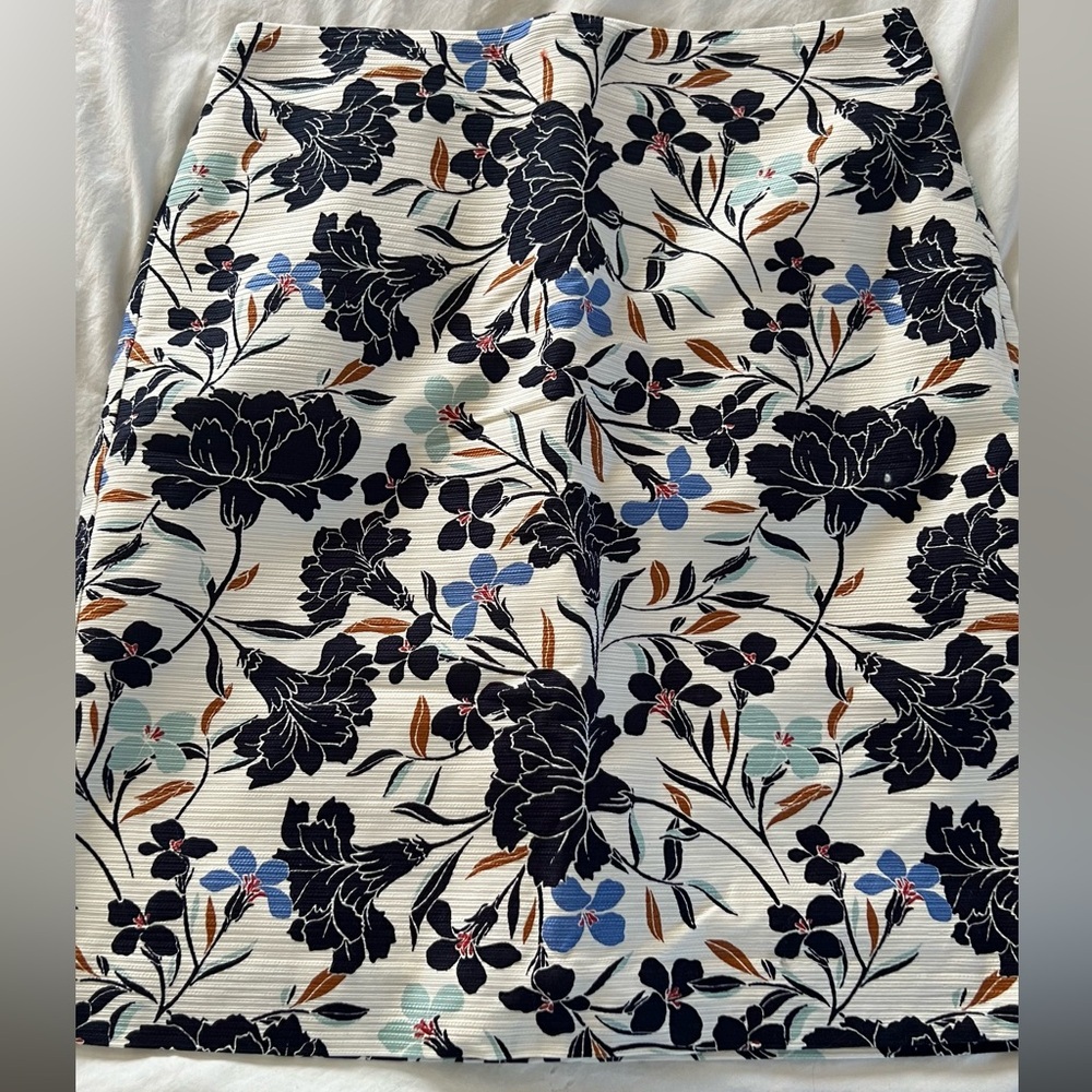 ANN TAYLOR skirt